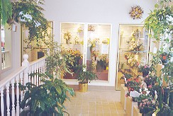 Showroom Interior